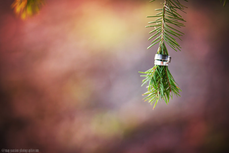 Mon instant Mag Passion Photographie-154